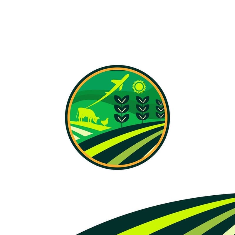 Brand Logo Design