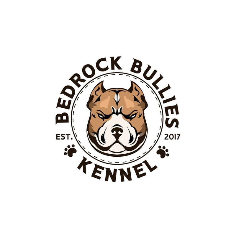 Brand Logo Design