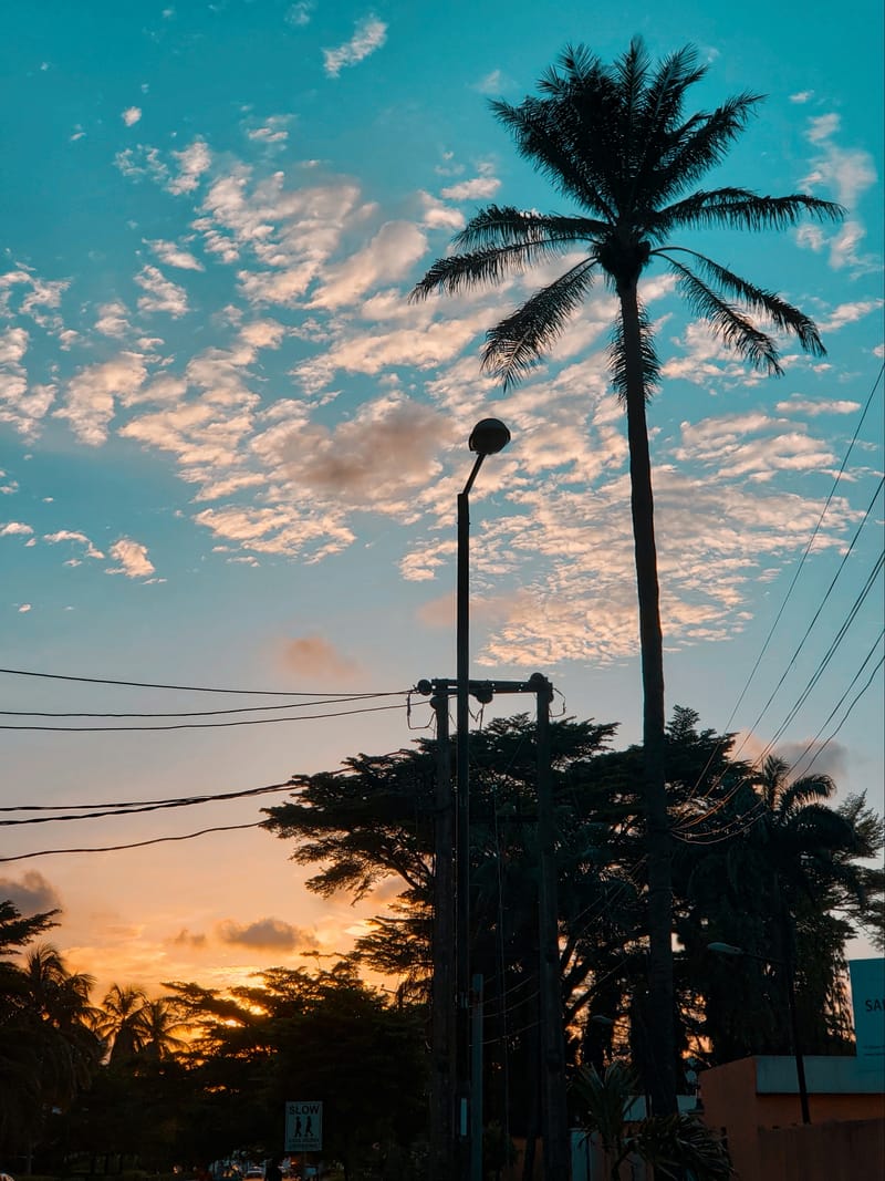 Documentary/Visual Storytelling