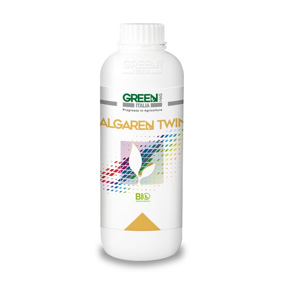 ALGAREN TWIN