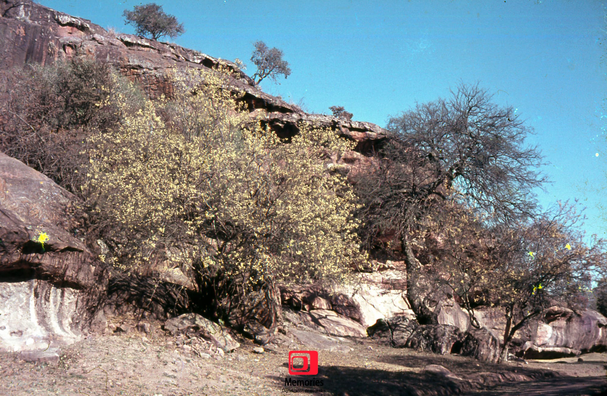 Diapositivas digitalizadas a JPG Alta Calidad