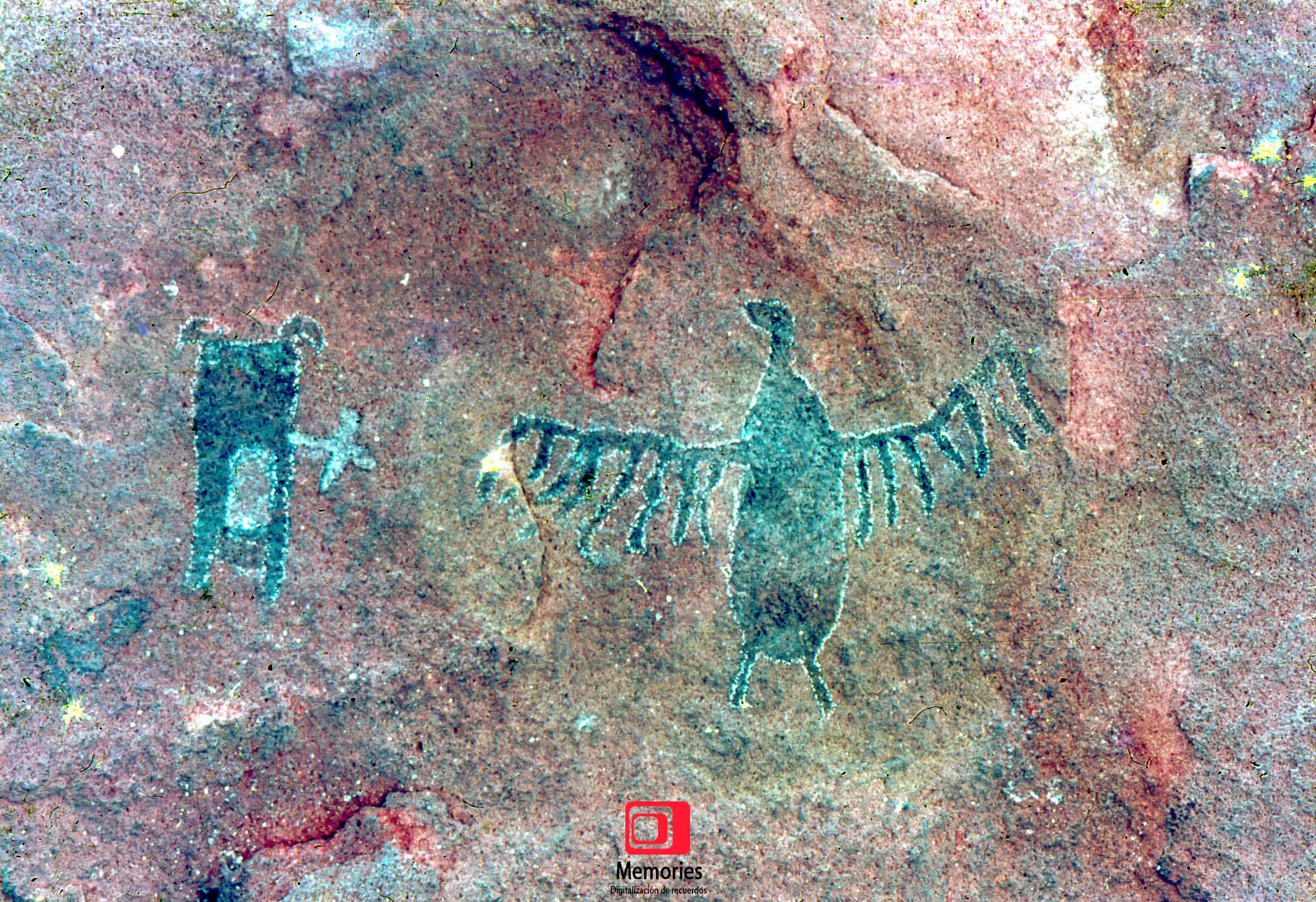 Diapositivas digitalizadas a JPG Alta Calidad