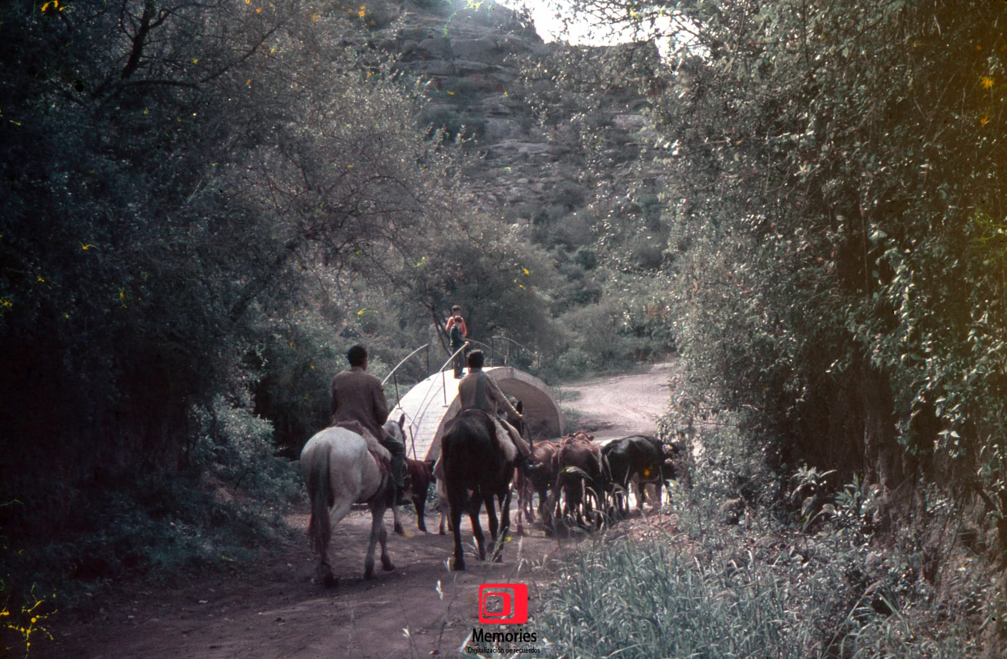 Diapositivas digitalizadas a JPG Alta Calidad