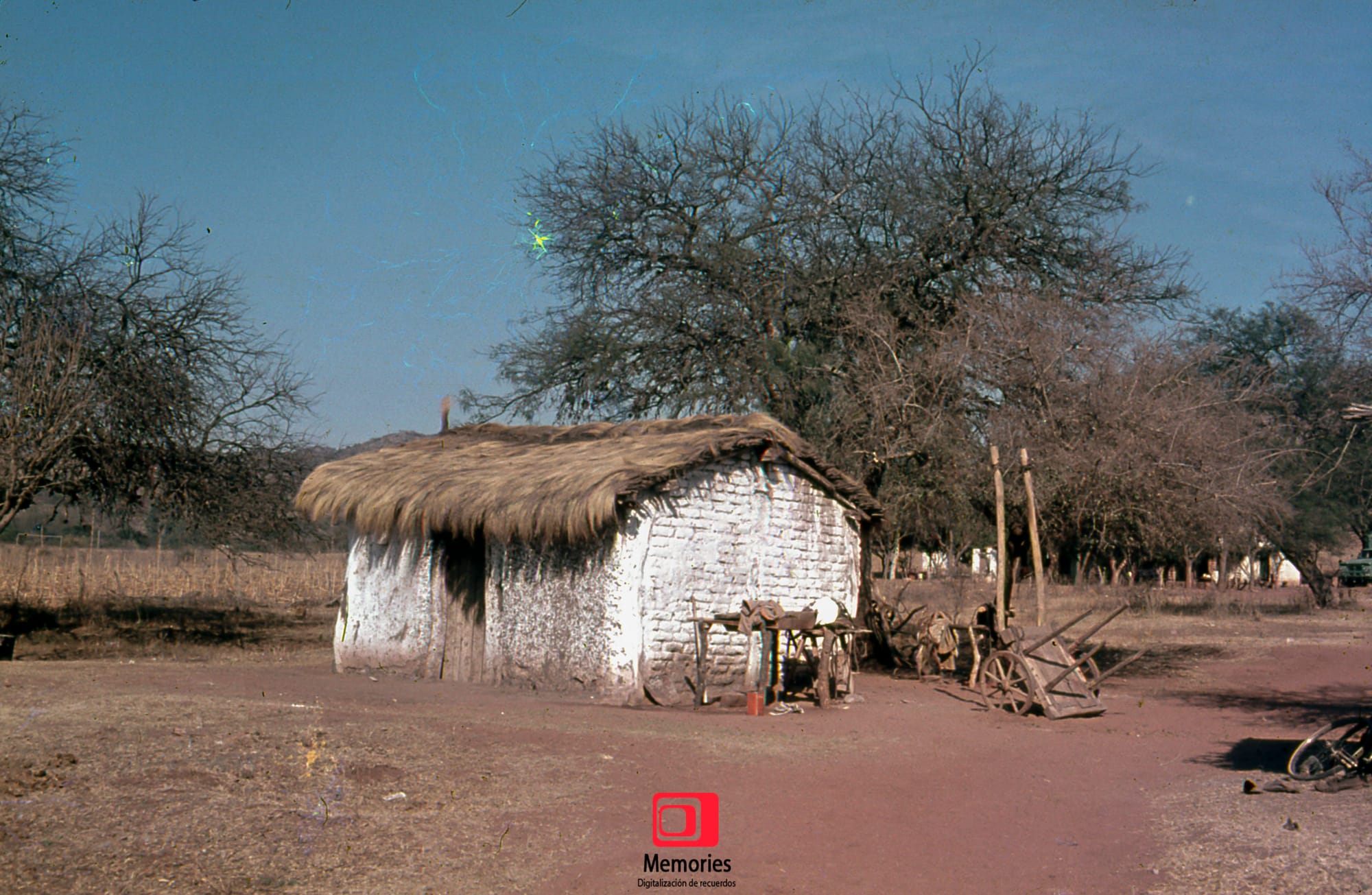 Diapositivas digitalizadas a JPG Alta Calidad