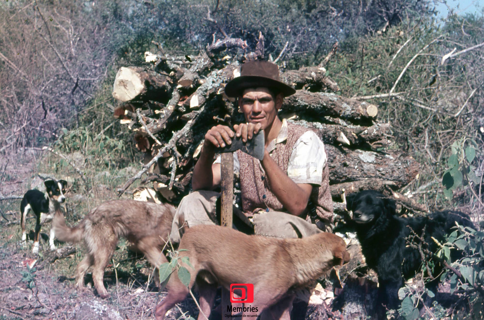 Diapositivas digitalizadas a JPG Alta Calidad