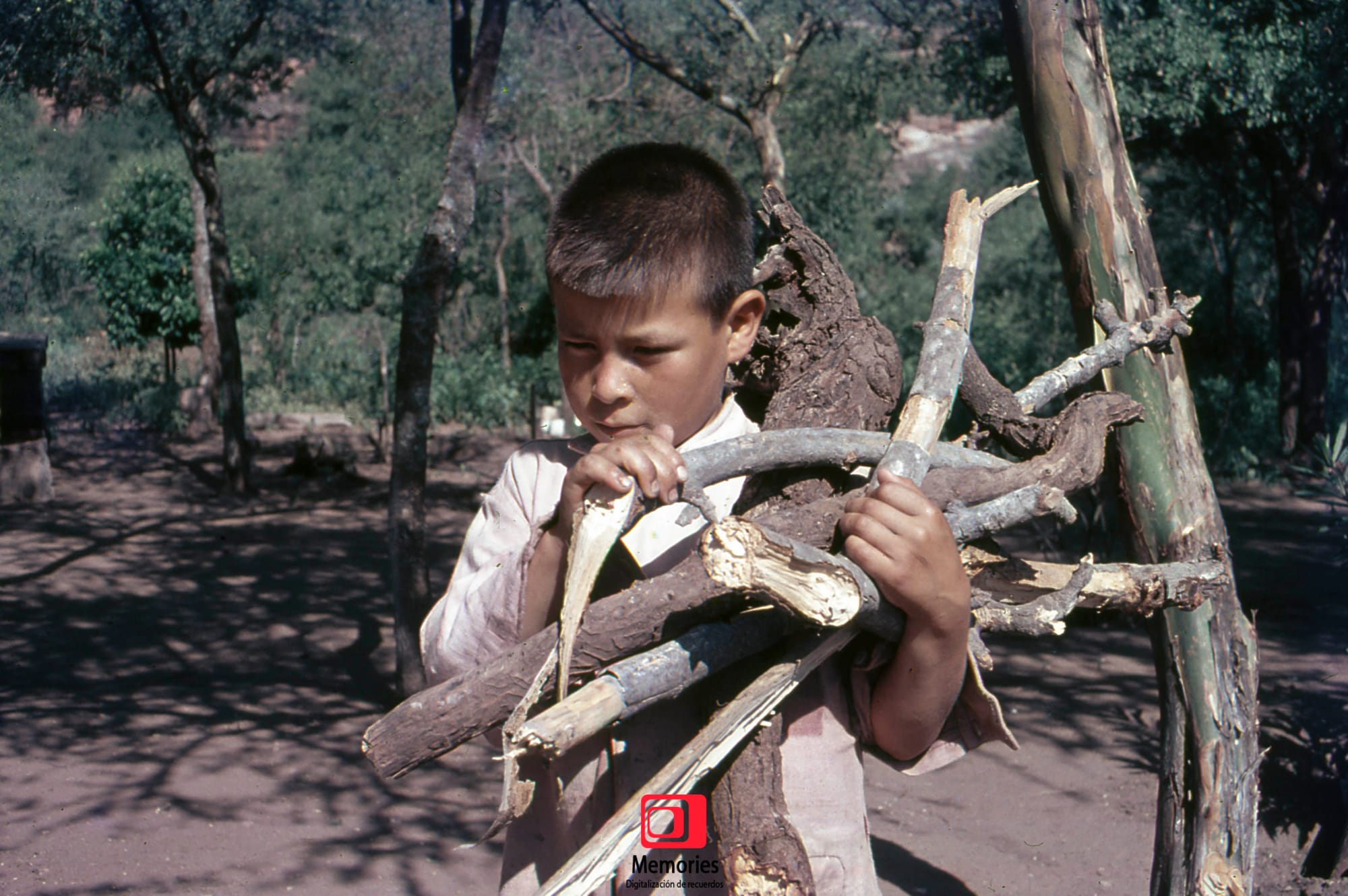 Diapositivas digitalizadas a JPG Alta Calidad