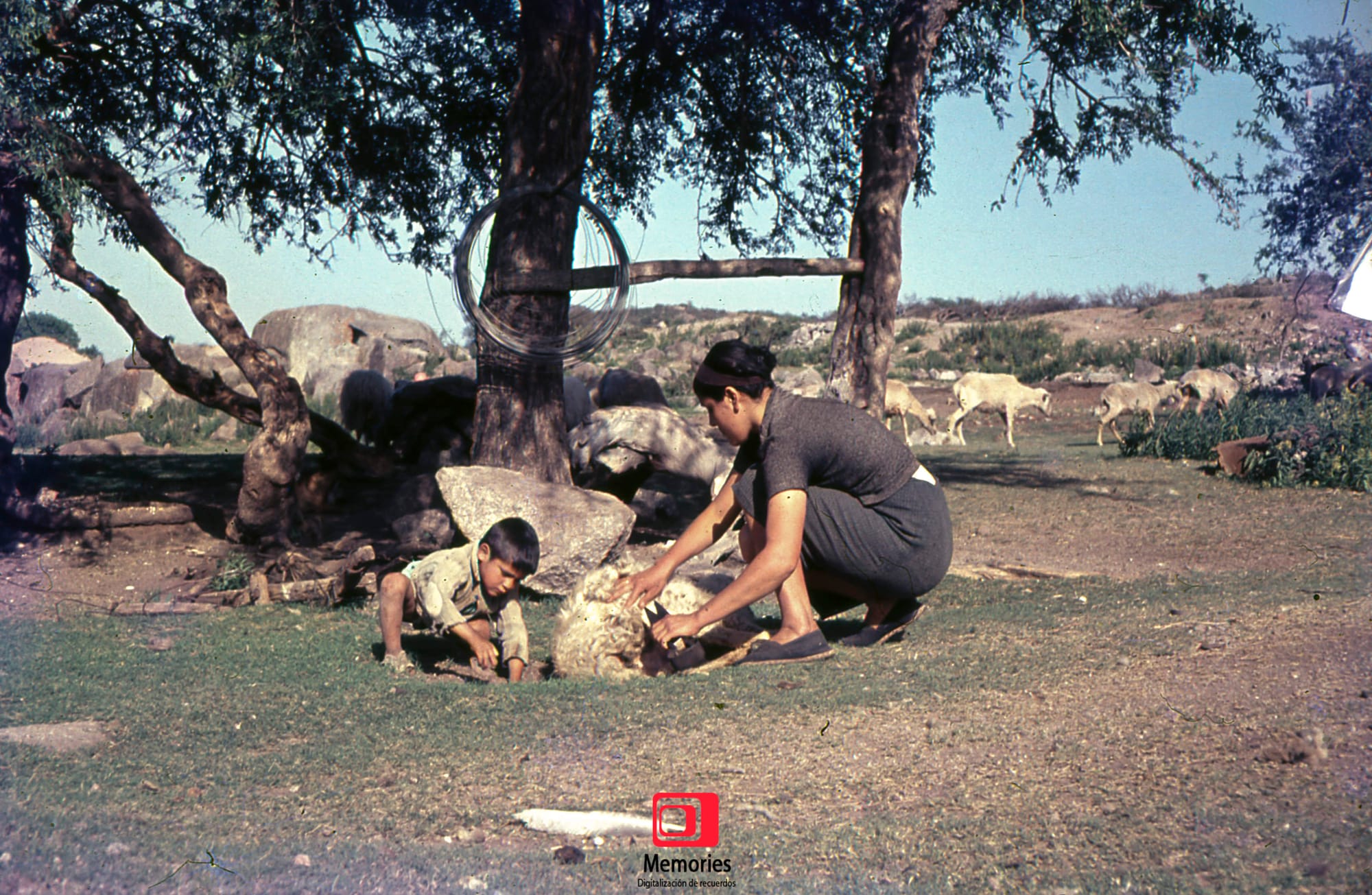Diapositivas digitalizadas a JPG Alta Calidad