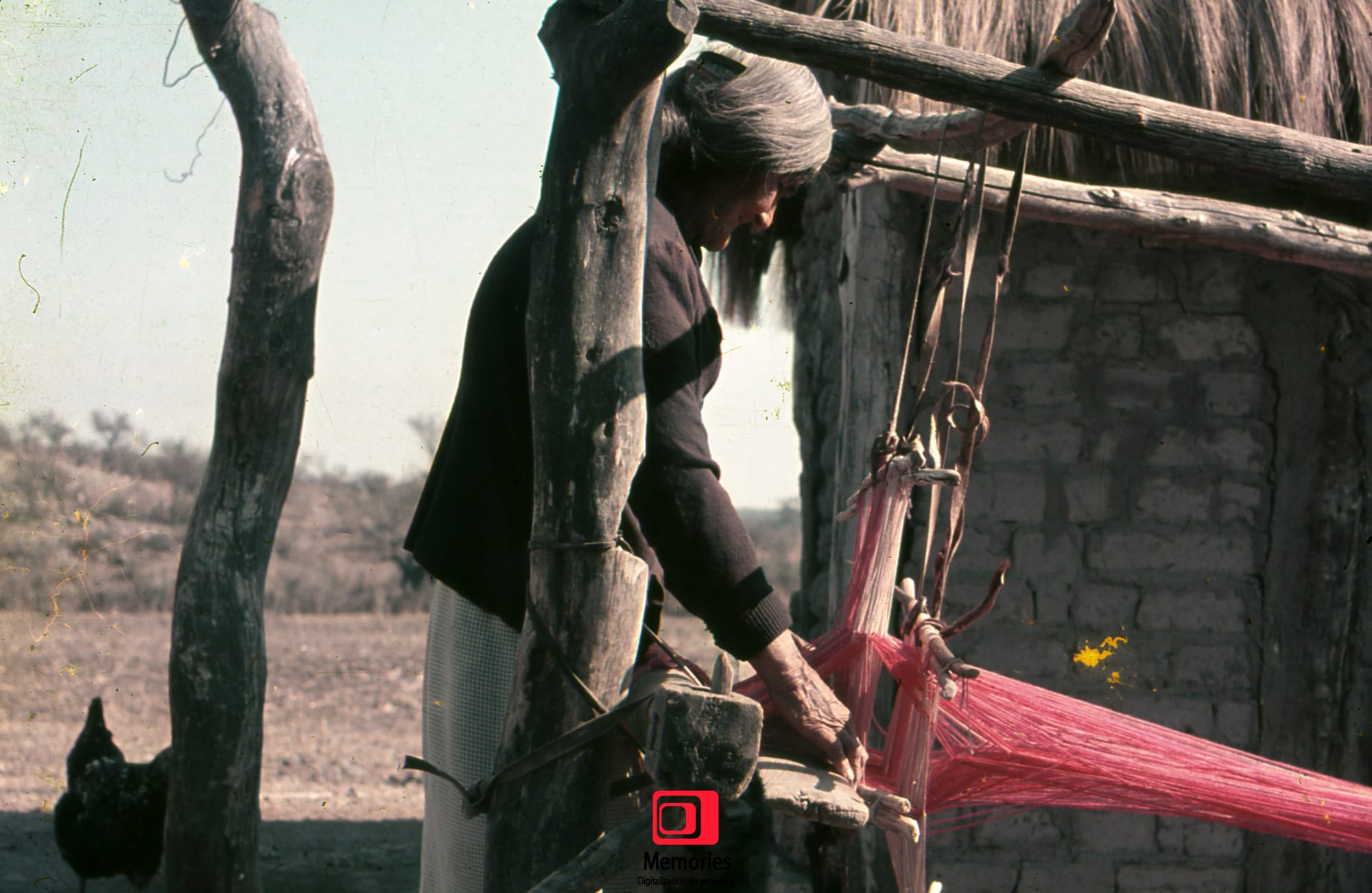 Diapositivas digitalizadas a JPG Alta Calidad