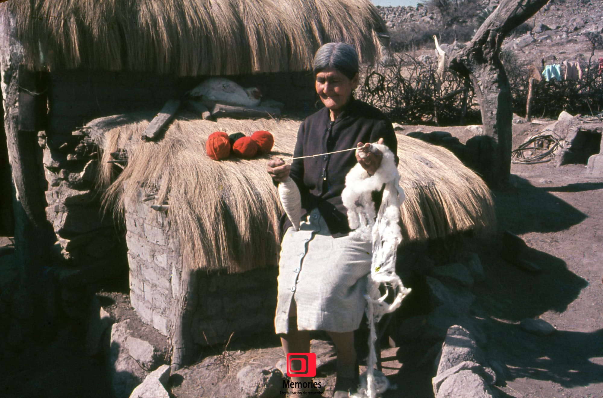 Diapositivas digitalizadas a JPG Alta Calidad