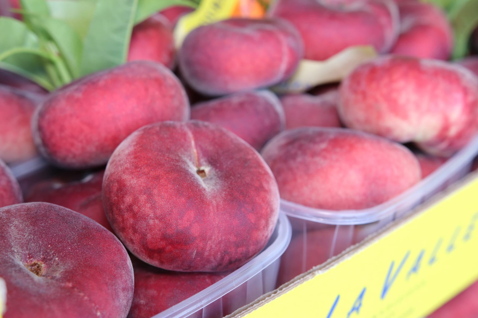 Fast food - Gourmet - Aperitivo