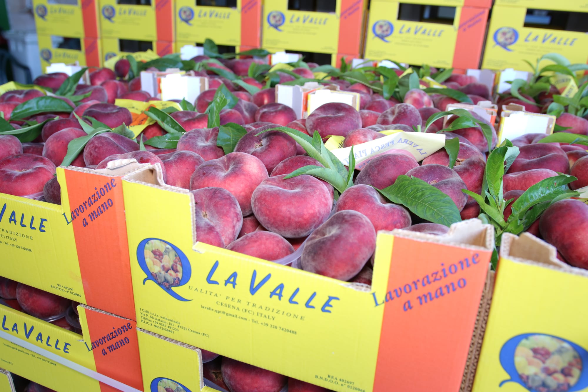 Fast food - Gourmet - Aperitivo