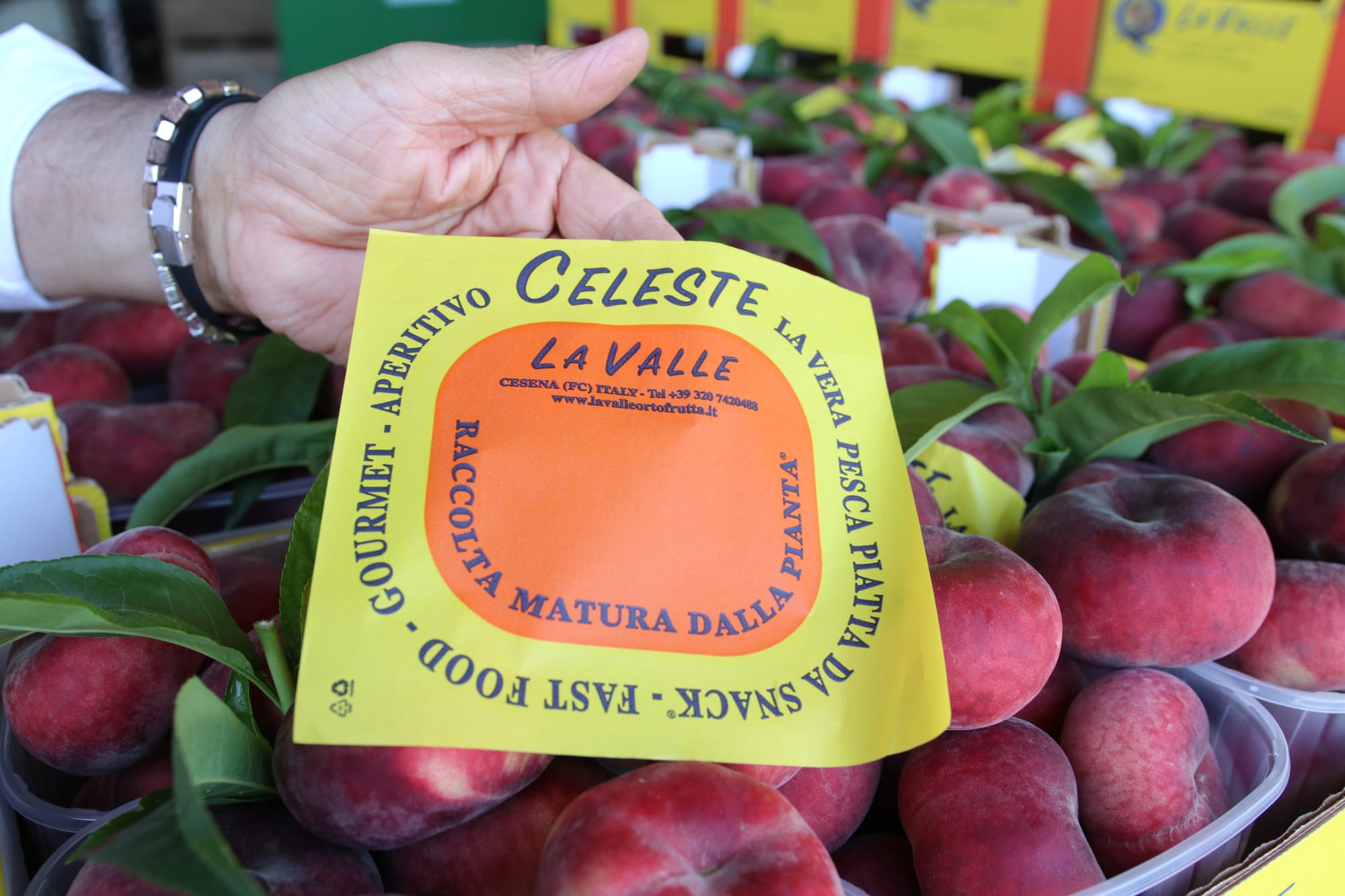 Fast food - Gourmet - Aperitivo