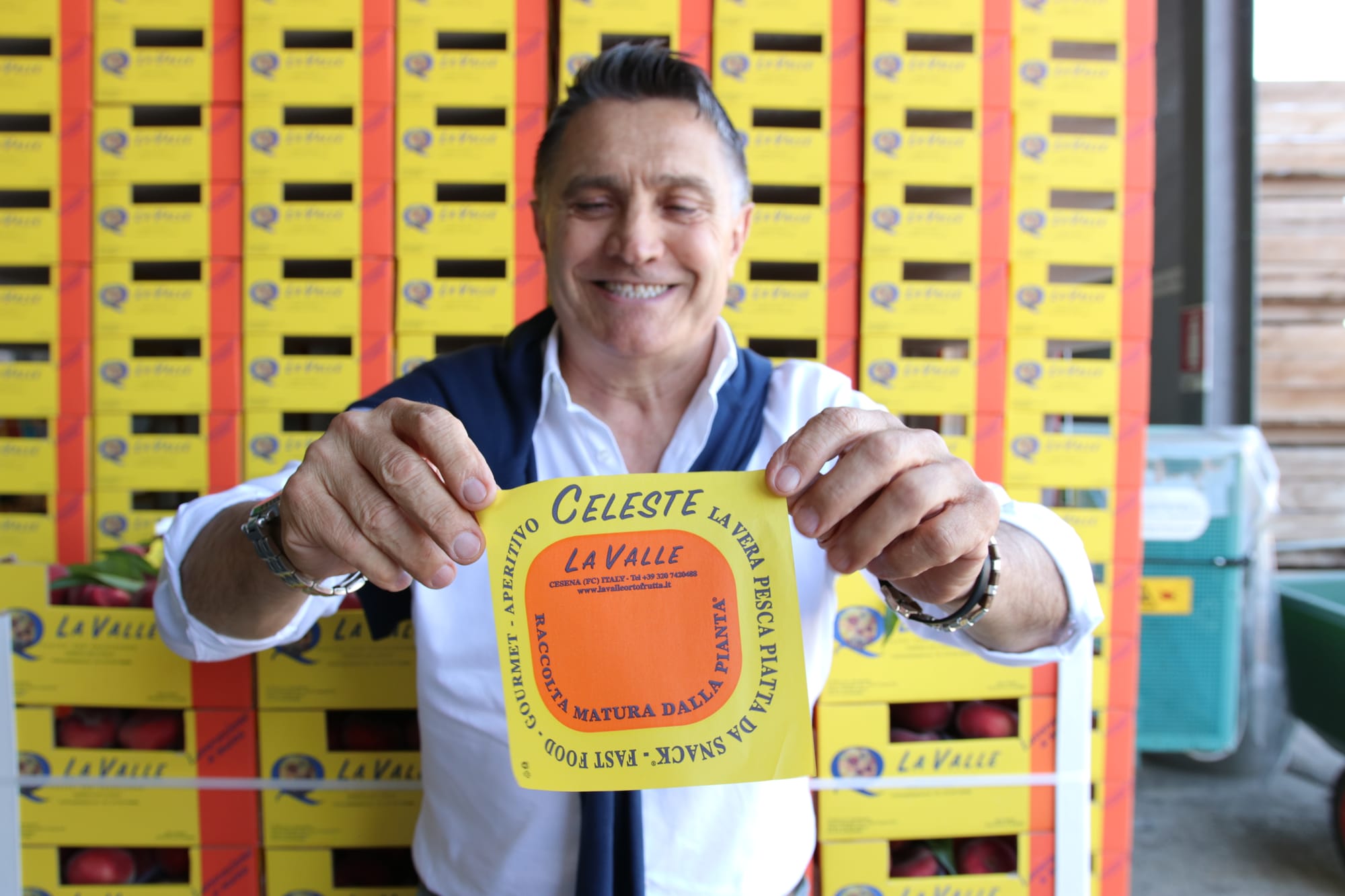 Fast food - Gourmet - Aperitivo