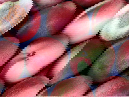 Nettarina polpa bianca