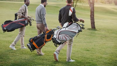 After a historic rise, what is the future of golf? image