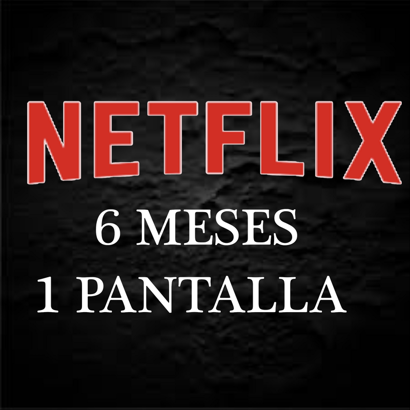 NETFLIX 6 MESES