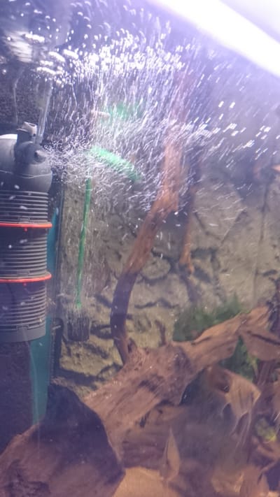 Biofiltrering