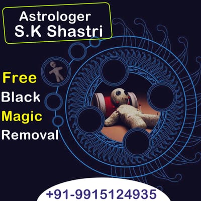 About Astrologer SK Shastri Ji image