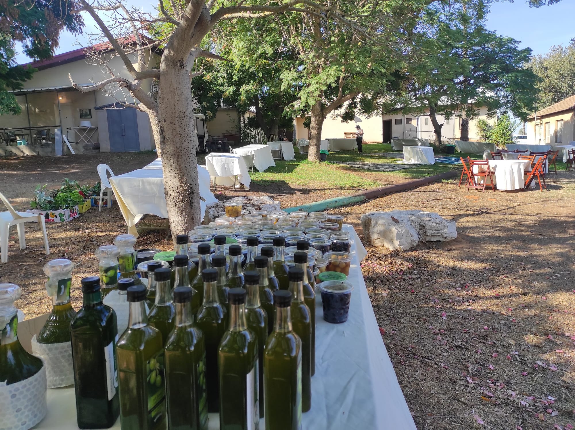 חגים מועדים ומה שבינהם