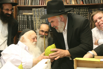 מה מותר ומה אסור? מגדל האתרוגים בשו”ת אצל רשכבה"ג מרן שר התורה • צפו