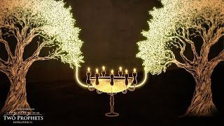 These are the two olive trees and the two lampstands standing before the God of the earth.