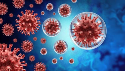 FDA Concedes on Ivermectin.