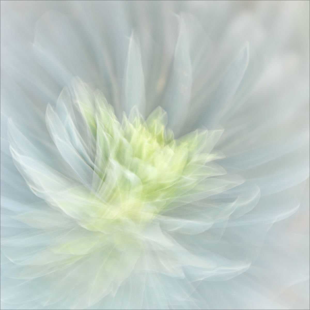 Ethereal Efflorescence