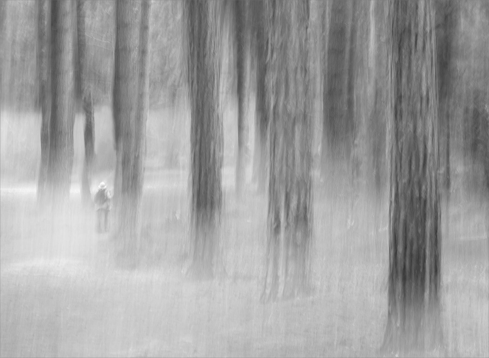 Alone in the Woods