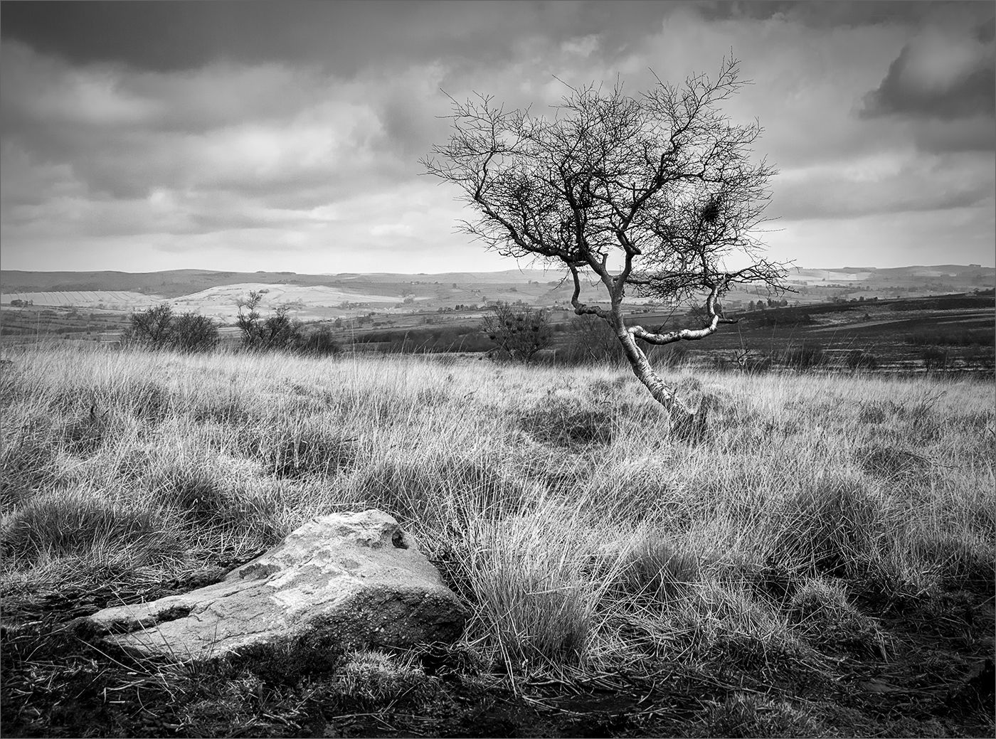 Carlton Moor