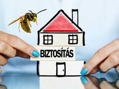 dARÁZSIRTÁS - BIZTOSÍTÓ FELÉ ELSZÁMOLHATÓ image