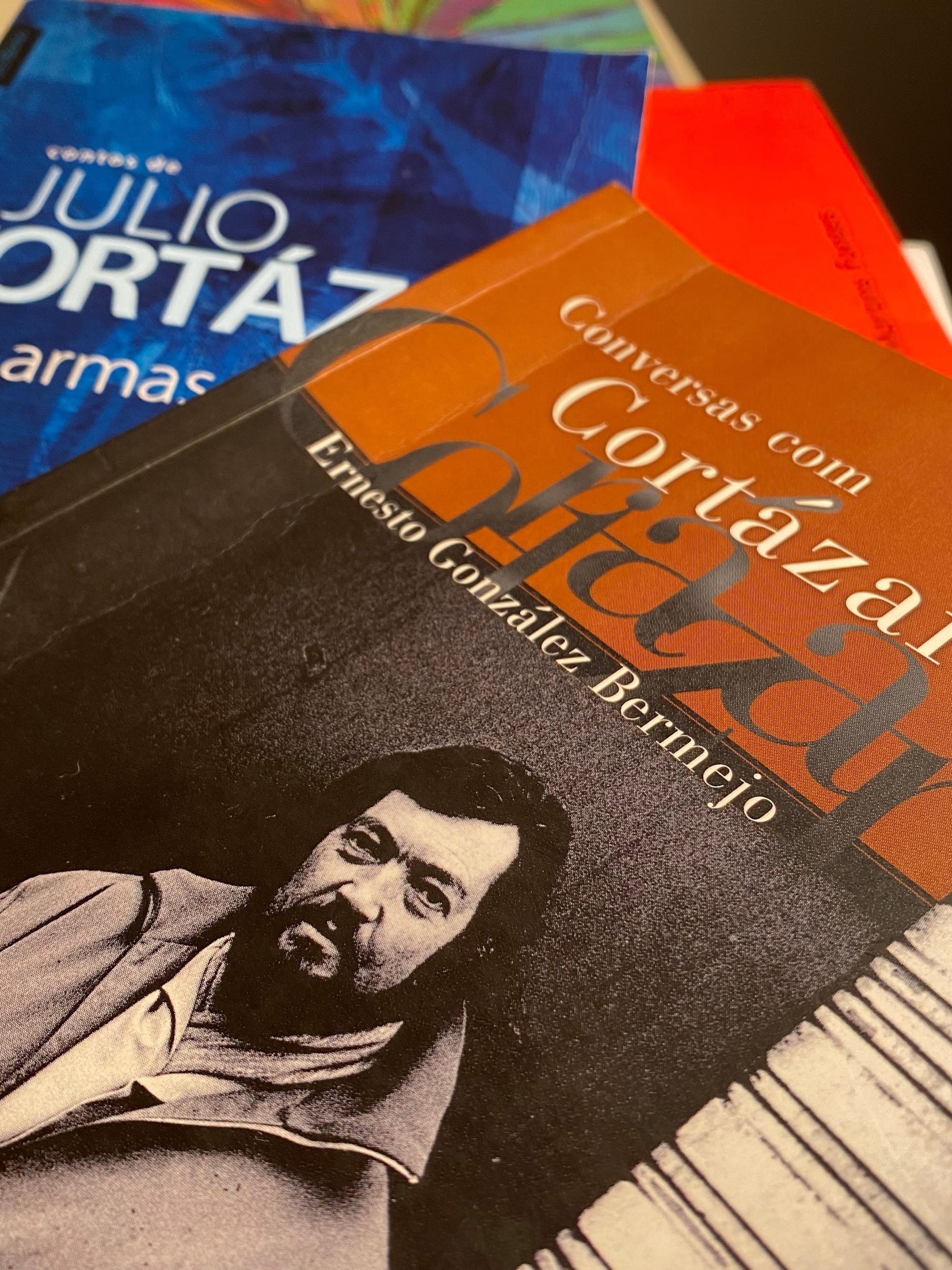 20. Julio Cortázar