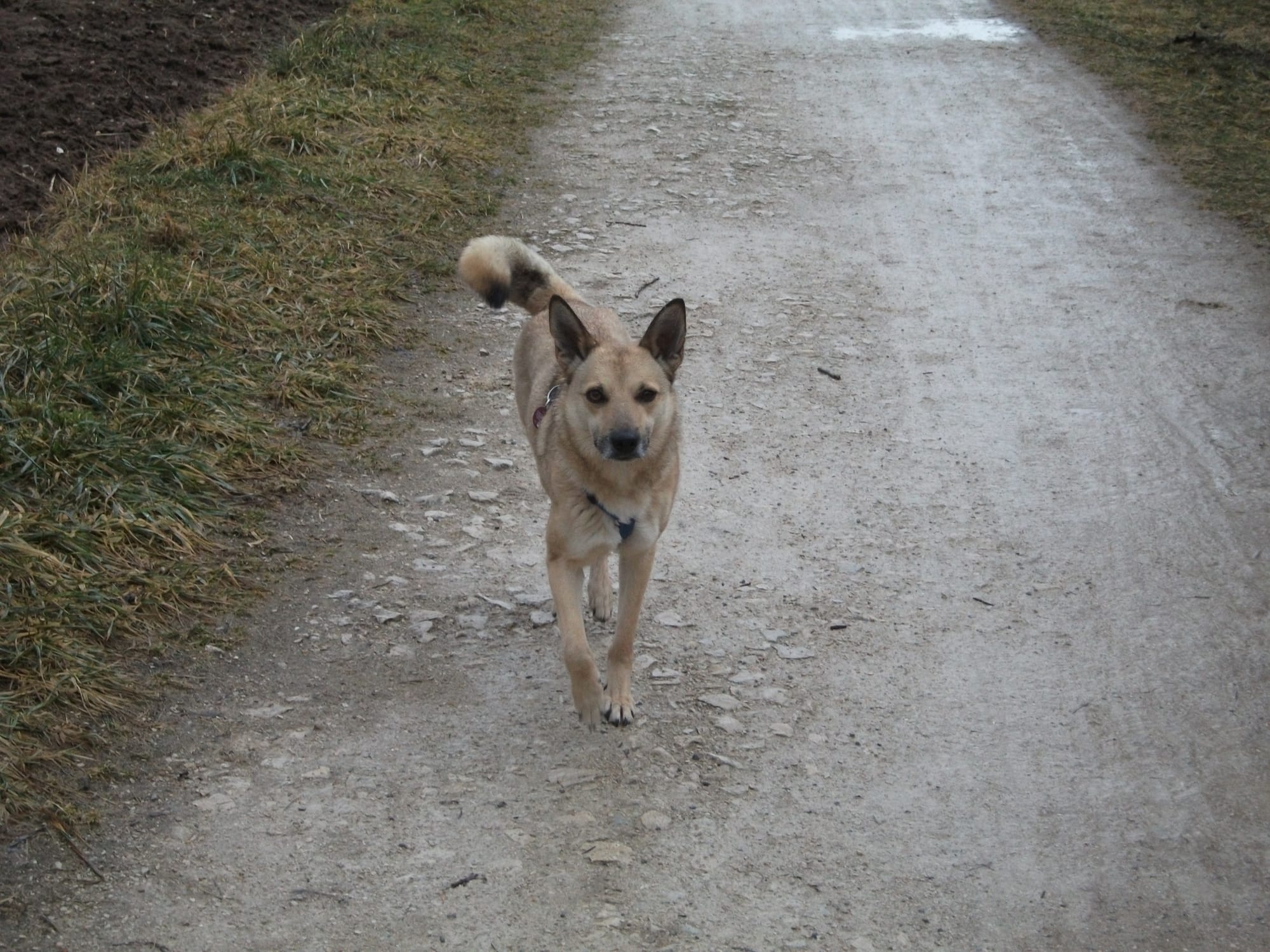 Jerry (aus Moldawien)