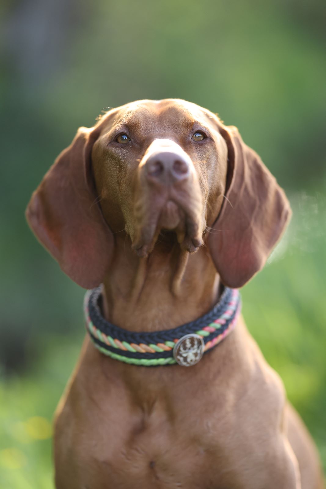 Merlin