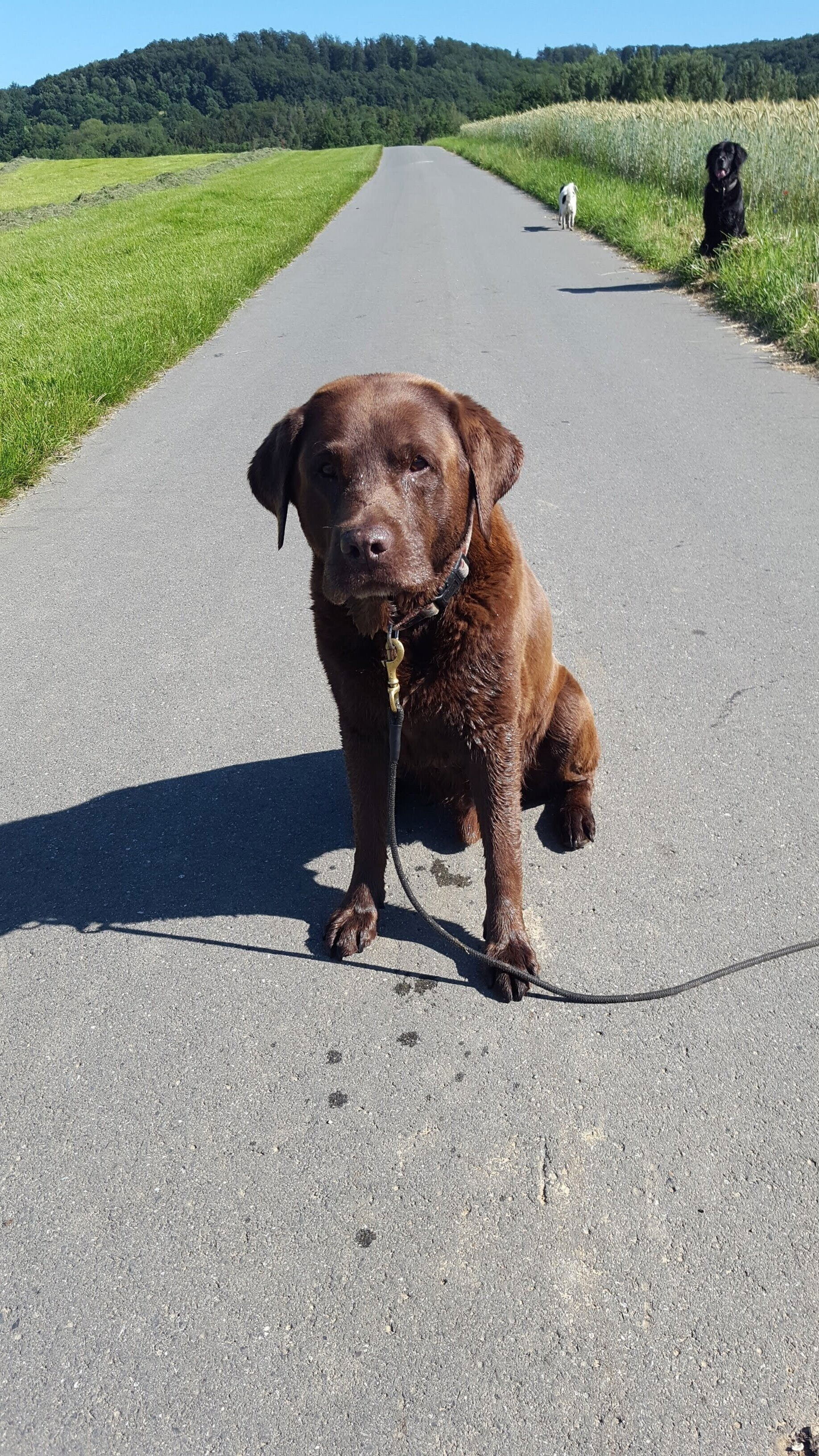 Oskar