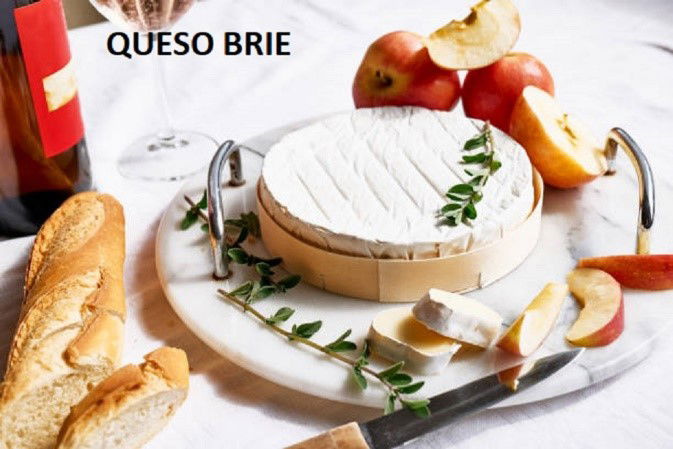 RECETA ELABORACIÓN QUESO BRIE A PARTIR DE LECHE DE VACA CRUDA