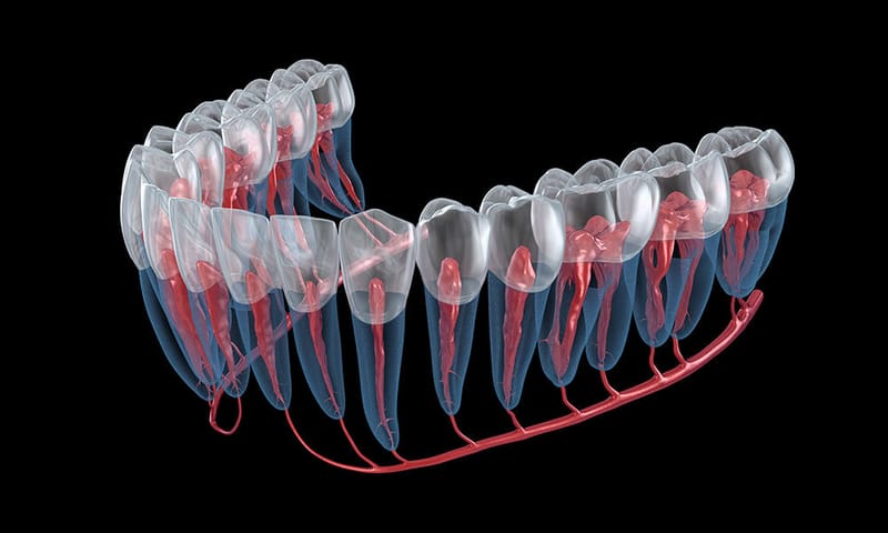 Endodontics (Root canal treatment)