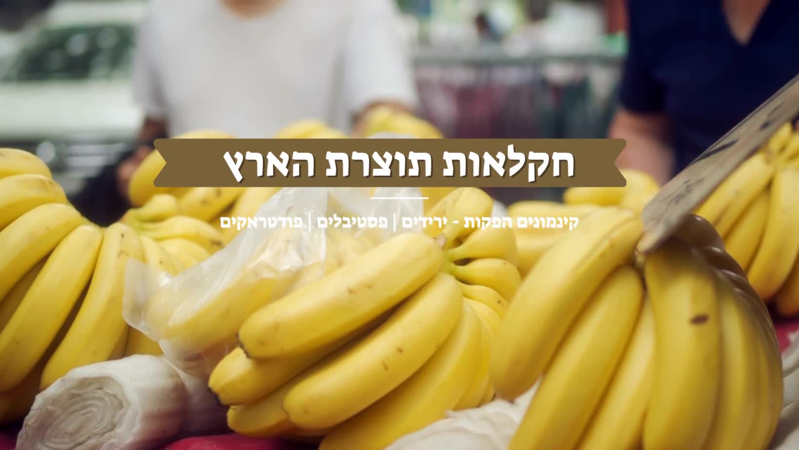 סרטוני קידום לעסקים