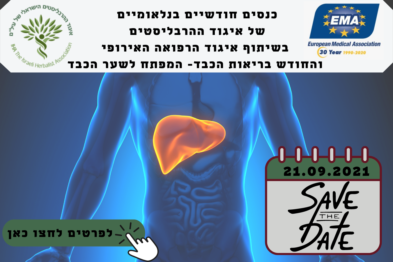 עיצובים ופרסומים