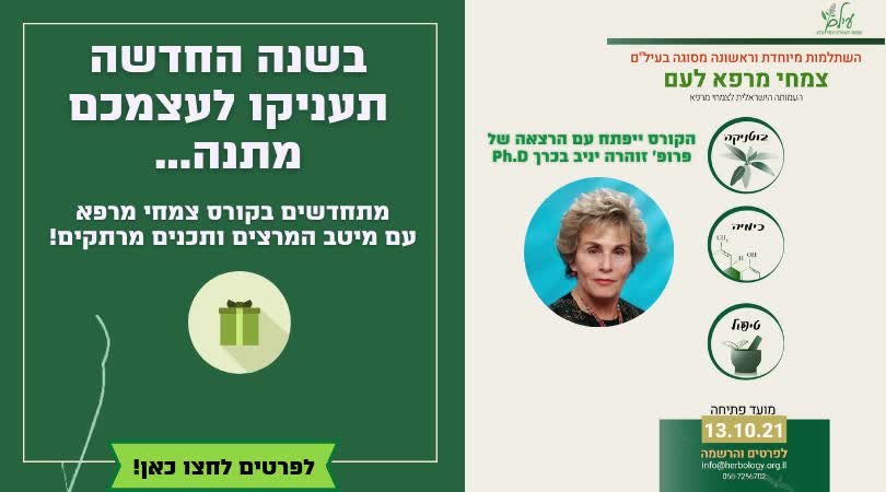 סרטוני קידום לעסקים