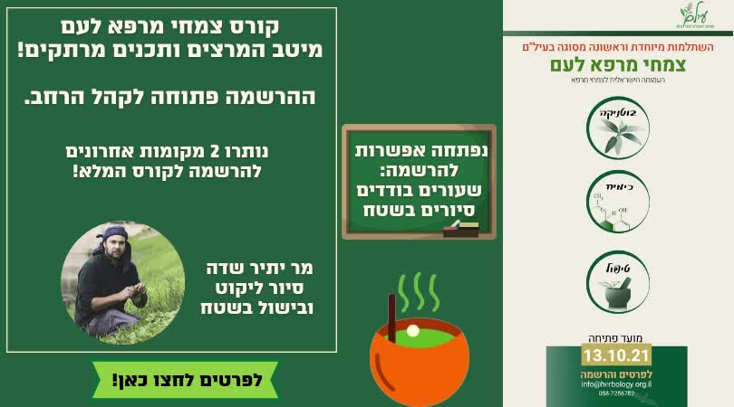 סרטוני קידום לעסקים