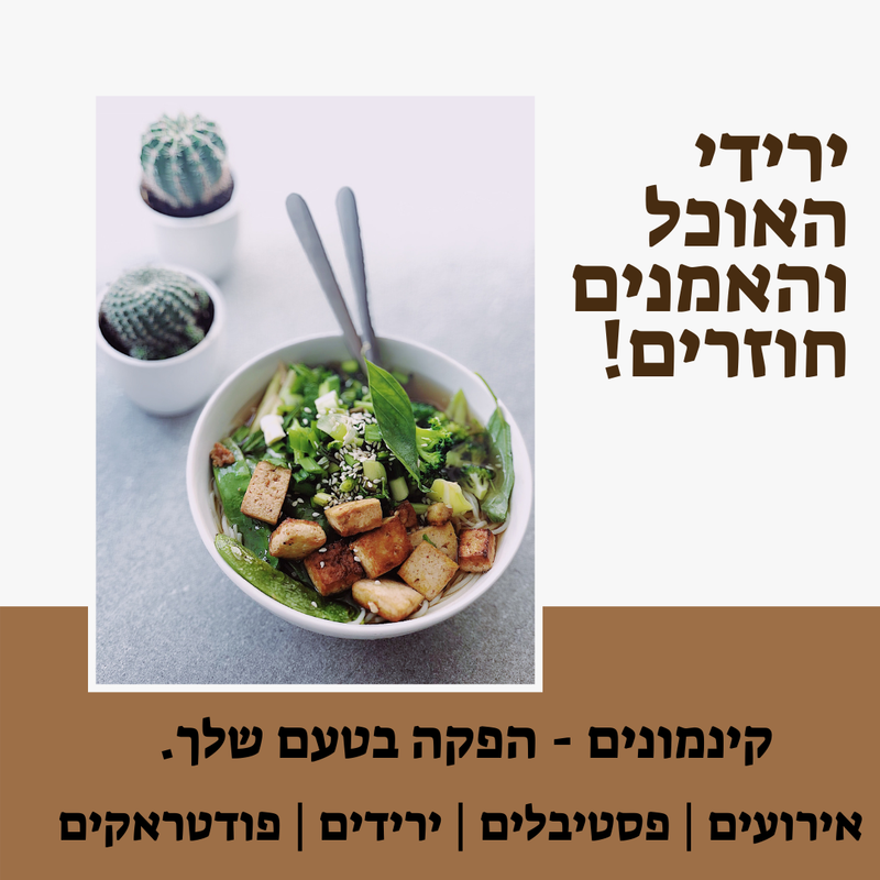 עיצובים ופרסומים