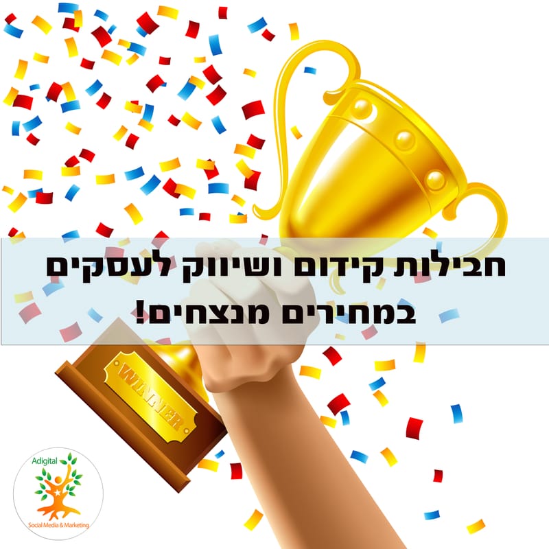 עיצובים ופרסומים