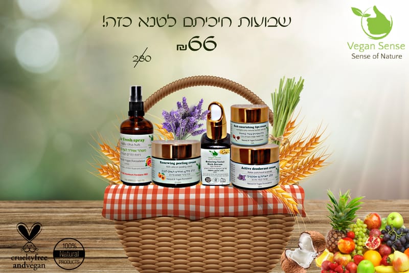 עיצובים ופרסומים