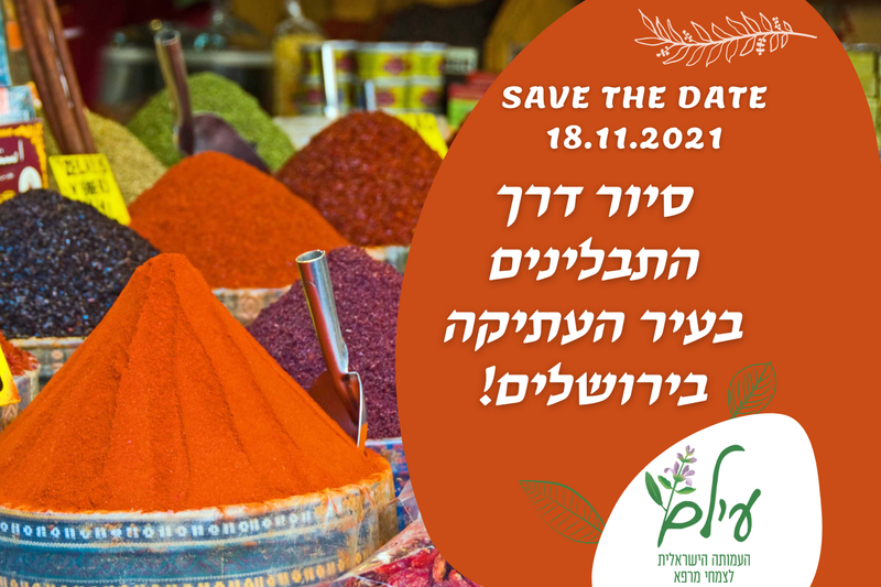 עיצובים ופרסומים