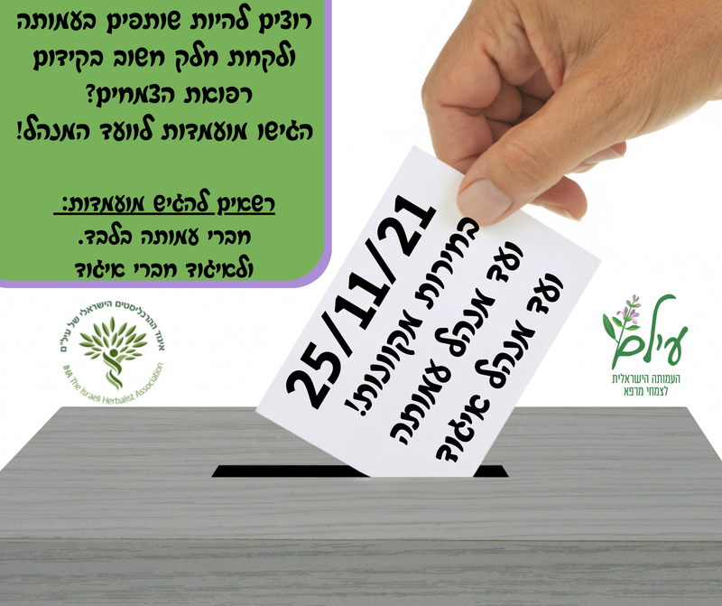 עיצובים ופרסומים