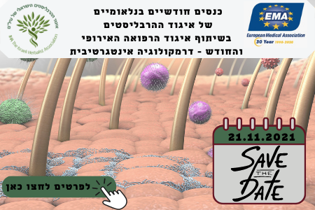 עיצובים ופרסומים