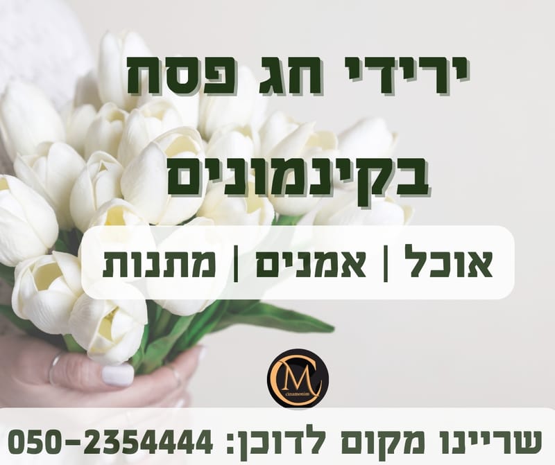 עיצובים ופרסומים