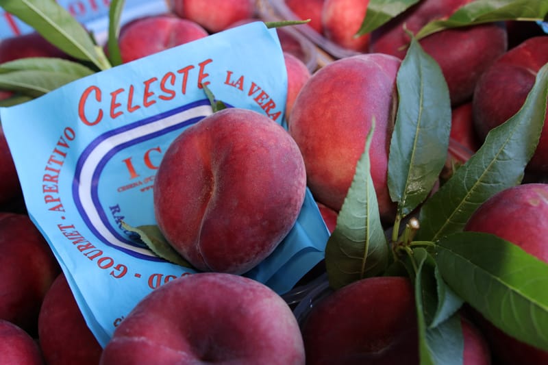 Celeste, la vera pesca piatta da snack