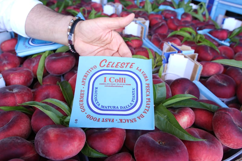 Celeste, la vera pesca piatta da snack