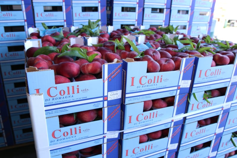 Celeste, la vera pesca piatta da snack